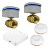 Беспроводная система защиты от протечки воды 1DAL MaxKit 3/4" (MXKT34)- Фото 1