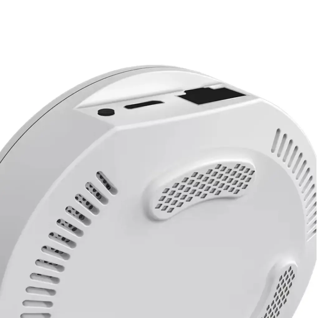 Интернет-шлюз 1DAL HomeKit WiFi ZigBee для Apple Home + Tuya Smart (ZW05B0)- Фото 2