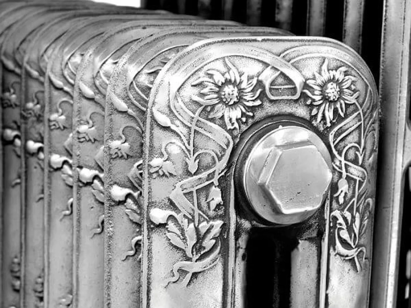 Чавунний радіатор Carron The Daisy LD053/054 - Фото 1