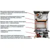 Двоконтурний газовий котел E.C.A. Gelios Plus 24 НМ + труба (1002)- Фото 4