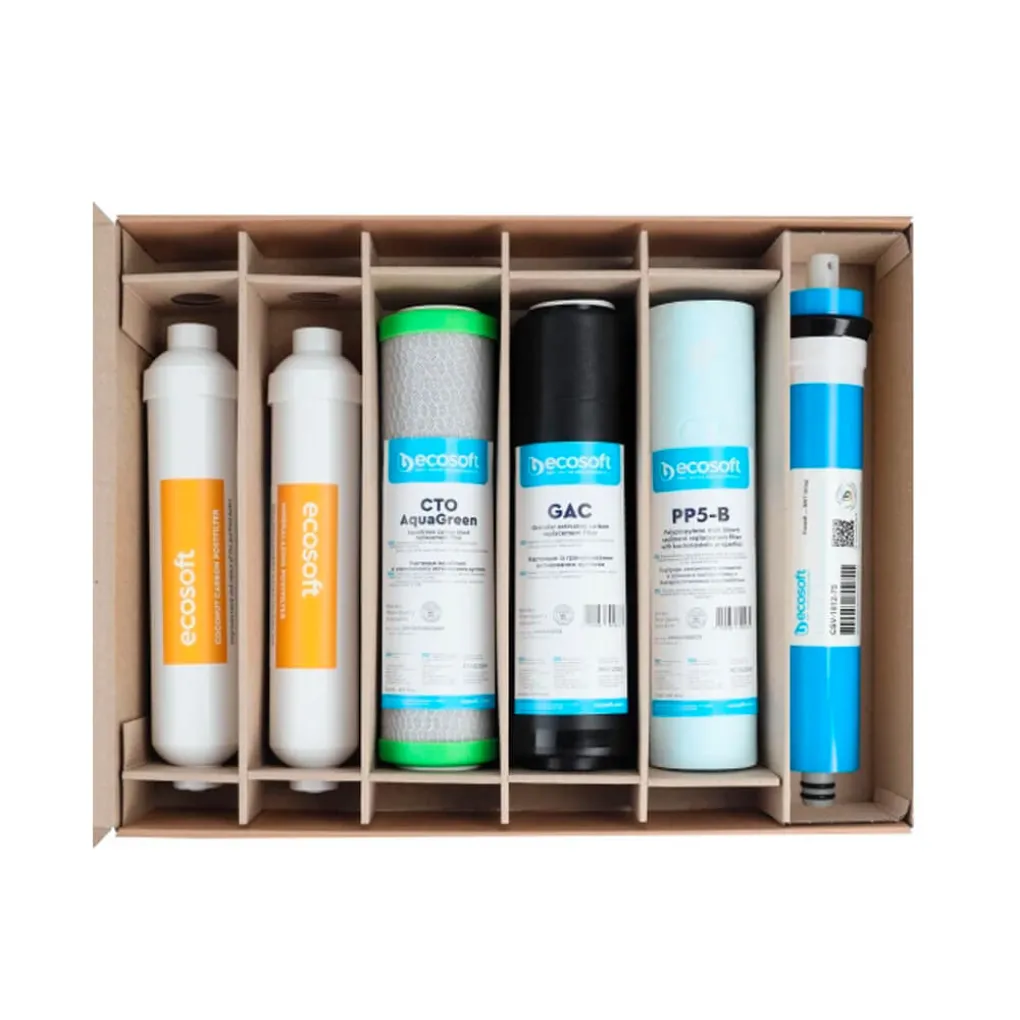 Комплект картриджей Ecosoft Absolute на 12 месяцев (CHV6ECOABS)- Фото 1