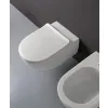 Сидение с крышкой для унитаза Flaminia App с функцией Soft-Close белое матовое (QKCW09 LATTE OPACO)- Фото 2