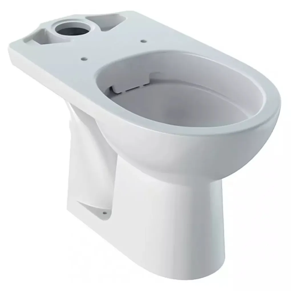 Унітаз підлоговий Geberit Selnova Comfort для осіб з обмеженими можливостями Rimfree (500.486.01.7)- Фото 1