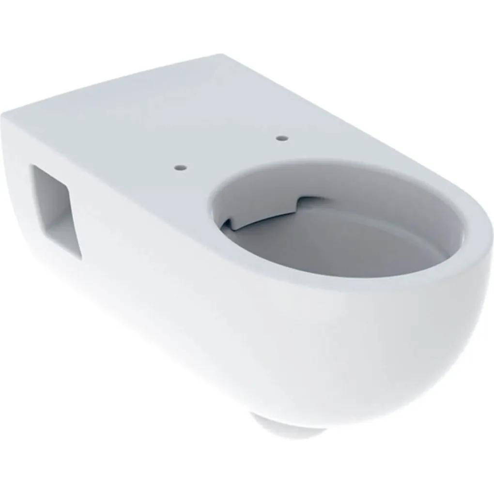 Унитаз подвесной Geberit Selnova Comfort Premium белый 500.693.01.2- Фото 1