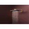 Верхній душ Hansgrohe Raindance Alive Q 340/210 1jet бронза мат (24530140)- Фото 3