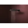 Верхній душ Hansgrohe Raindance Alive S 300 1jet чорний мат (24520670)- Фото 3