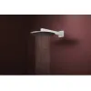Верхній душ Hansgrohe Raindance Alive S 300 1jet EcoSmart білий мат (24521700)- Фото 3