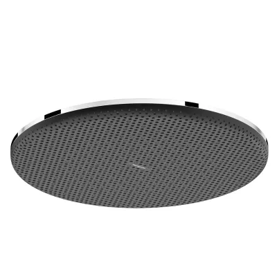 Верхний душ Hansgrohe Raindance Alive S 300 1jet хром (24520000)