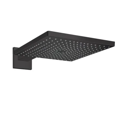 Верхний душ Hansgrohe Raindance E черный матовый (93230670)