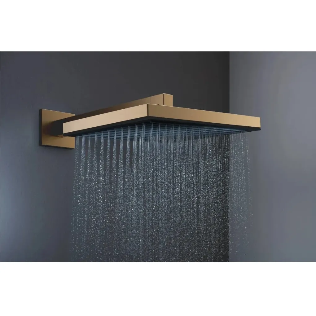 Верхний душ Hansgrohe Pulsify E 260 шлифованная бронза (24330140)- Фото 4