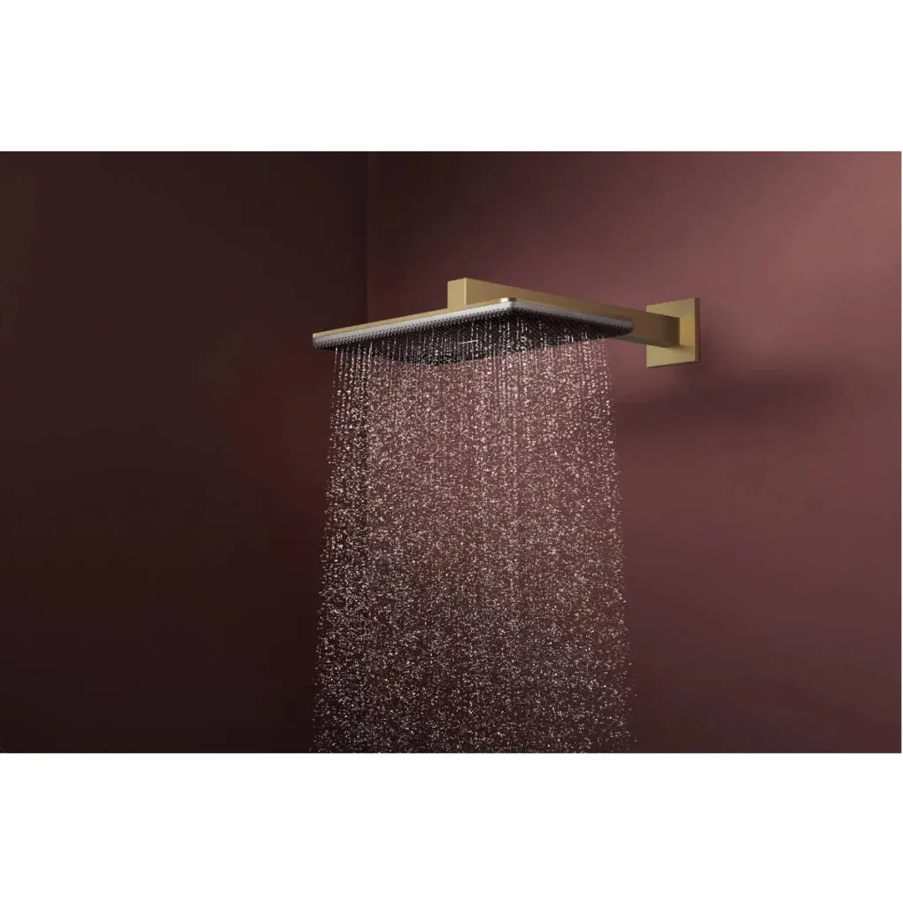 Верхній душ Hansgrohe Raindance Alive Q 340/210 1jet бронза мат (24530140)- Фото 2