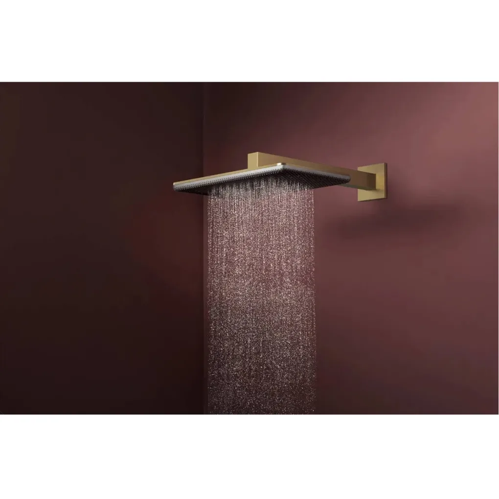 Верхній душ Hansgrohe Raindance Alive Q 340/210 1jet бронза мат (24530140)- Фото 3