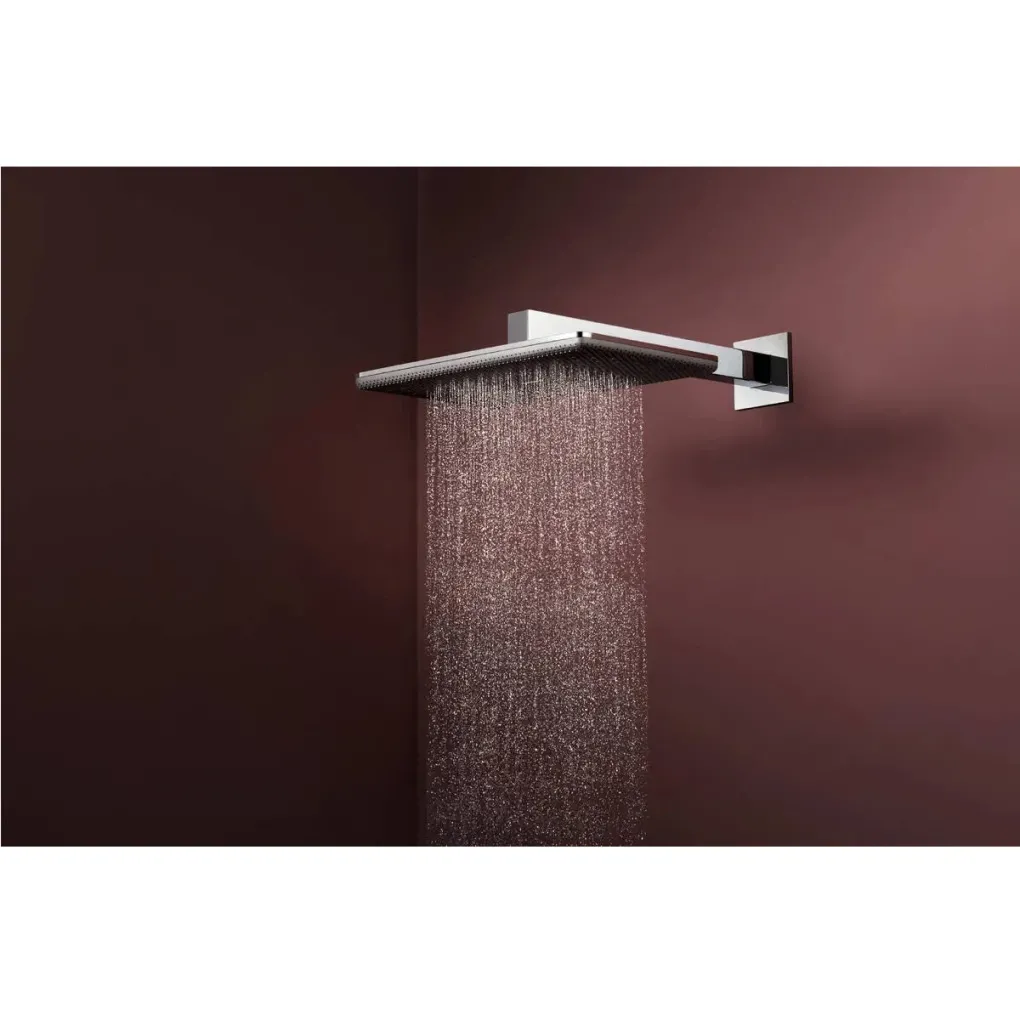 Верхній душ Hansgrohe Raindance Alive Q 340/210 1jet EcoSmart хром (24531000)- Фото 2