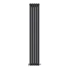 Трубчатый радиатор Ideale Adele 12 2 колонны 5 секций 1800x295 черный- Фото 1