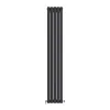 Трубчастый радиатор Ideale Adele 2 колонны 5 секций 1800x295 черный матовый- Фото 1