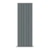 Трубчастый радиатор Ideale Vittoria 1 колонна 9 секций 1800x612 антрацит- Фото 1
