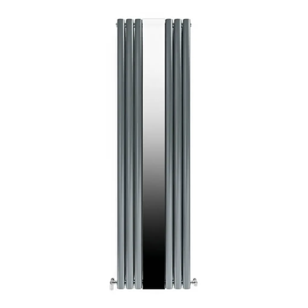 Трубчастый радиатор Ideale Adriana 1 колонна 6 секций антрацит 1800x499 (с зеркалом)- Фото 1