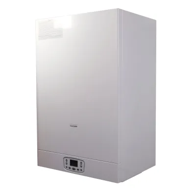 Двухконтурный газовый котел Italtherm TIME MAX 24 F (301051787)