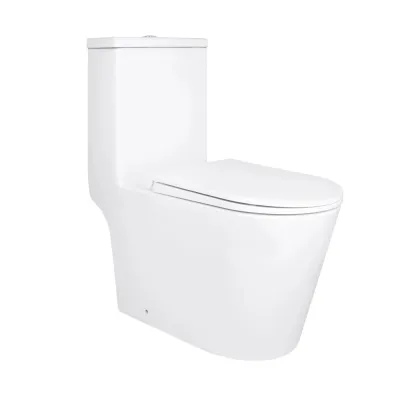 Унитаз-моноблок Qtap Kolibri безободковый с сиденьем Soft-close белый (QT10226380W)