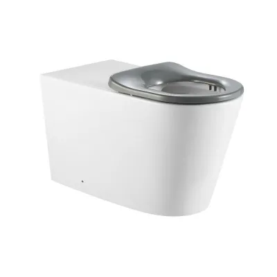 Унітаз підлоговий Qtap Freedom безбачковий з сидінням Soft-close білий (QT22223368W)