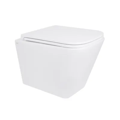 Унитаз подвесной Qtap Tern безободковый с сиденьем Soft-close белый (QT17332303ASW)