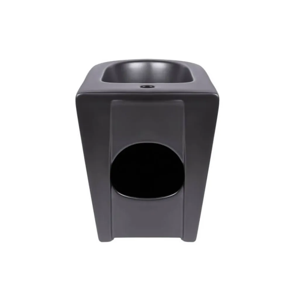 Напольное биде Qtap Robin Matt black (QT13442141CMB)- Фото 3