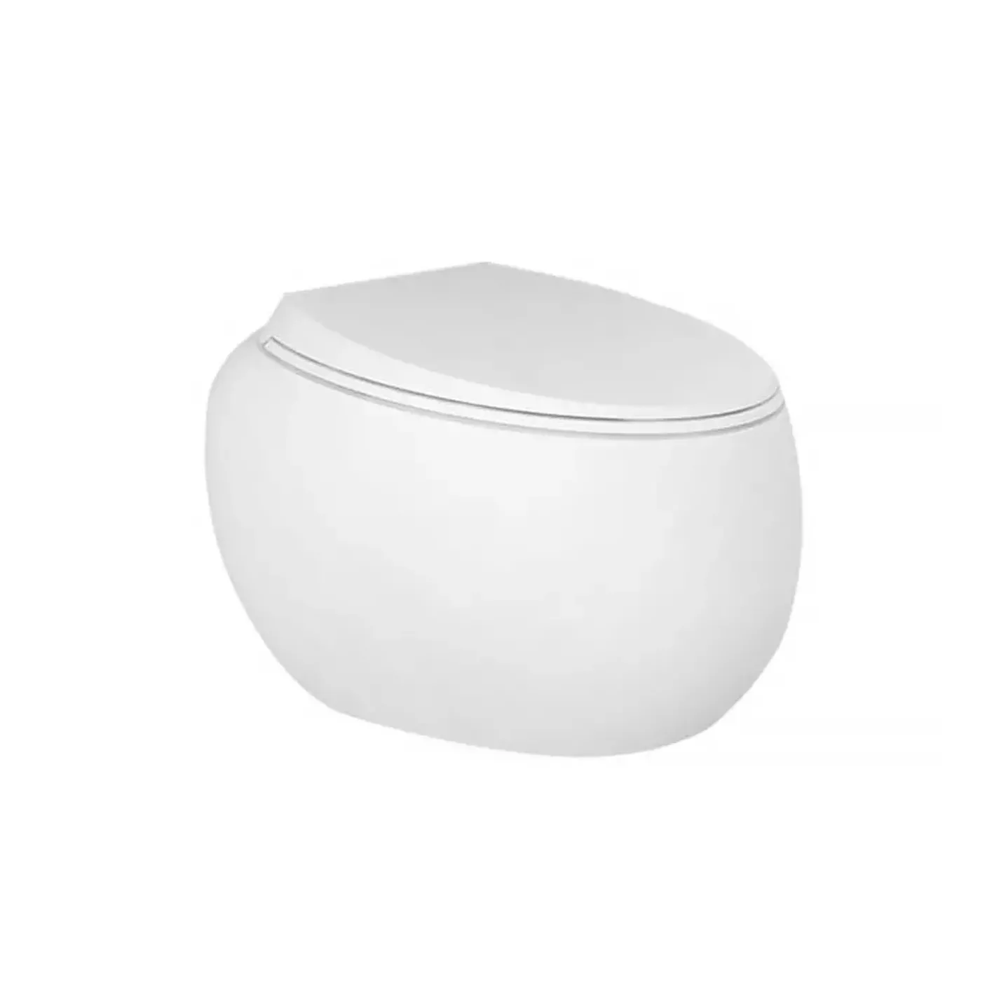 Сидіння з кришкою RAK Ceramics Cloud CLOSC3901500 білий матовий - Фото 1