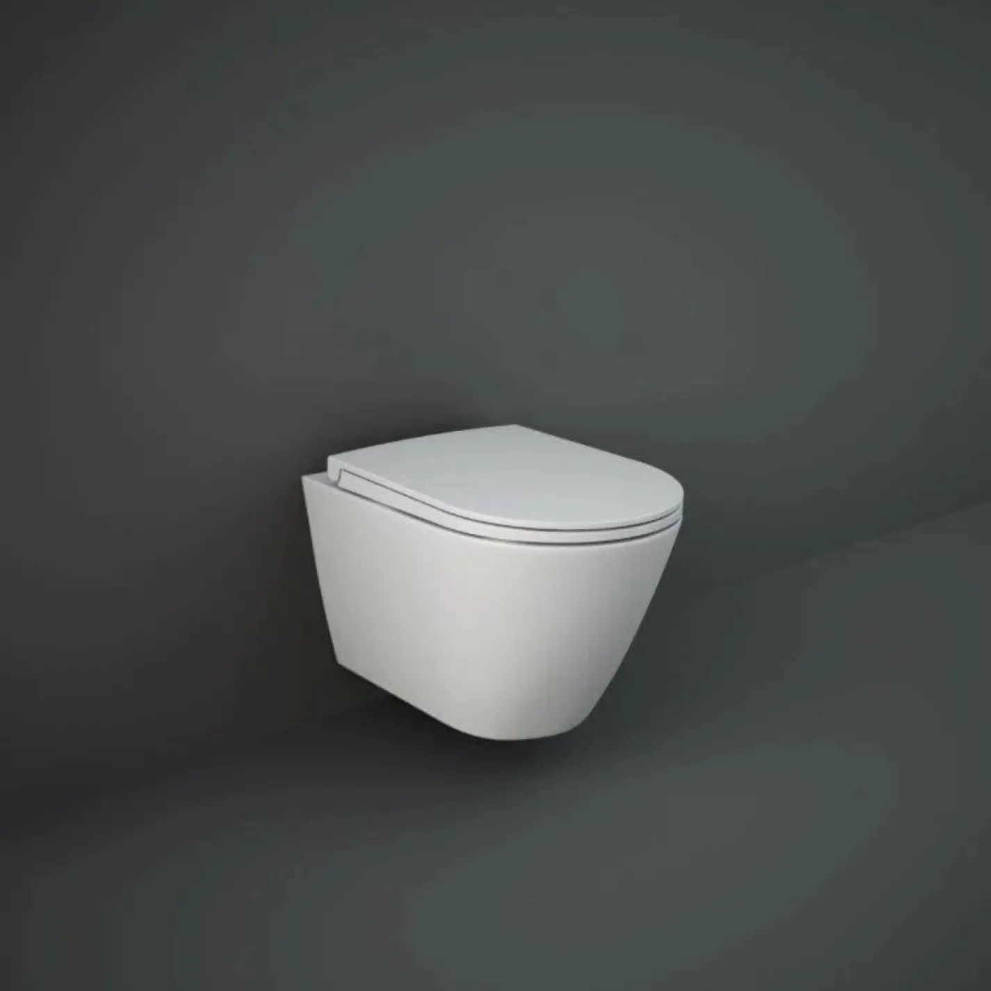 Сидіння з кришкою RAK Ceramics Feeling RSTSC3901500 білий матовий - Фото 1