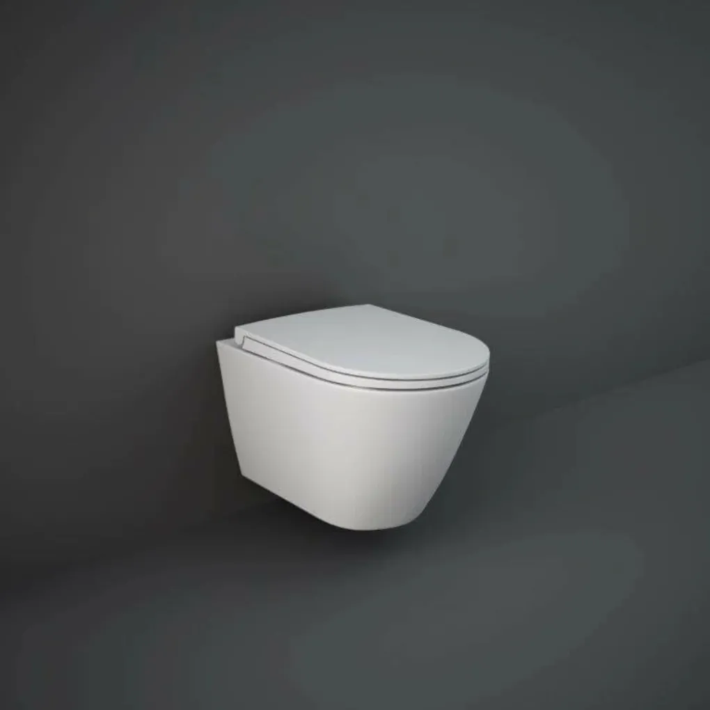 Сиденье с крышкой RAK Ceramics Feeling RSTSC3901500 белый матовый- Фото 2