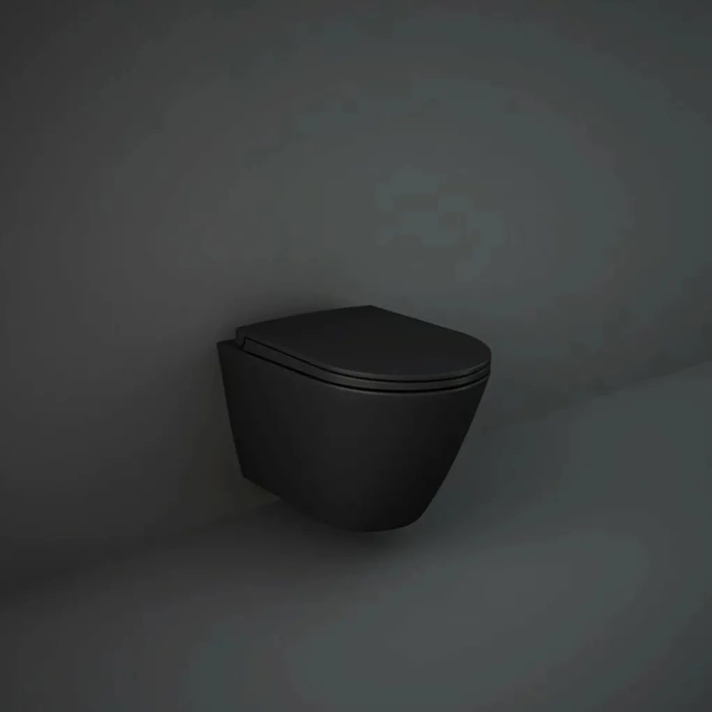 Сидіння з кришкою RAK Ceramics Feeling RSTSC3901504 чорний матовий- Фото 2