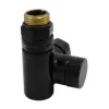 Клапан обратного потока Schlosser Combi Plus осевой левый GZ 1/2x15 черный (605000046.RAL90051)- Фото 1