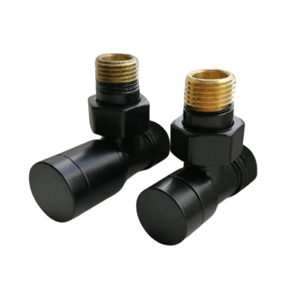 Комплект клапанов Schlosser Elegant угловой GZ 1/2 x 15 черный (604200001.RAL90051)- Фото 1
