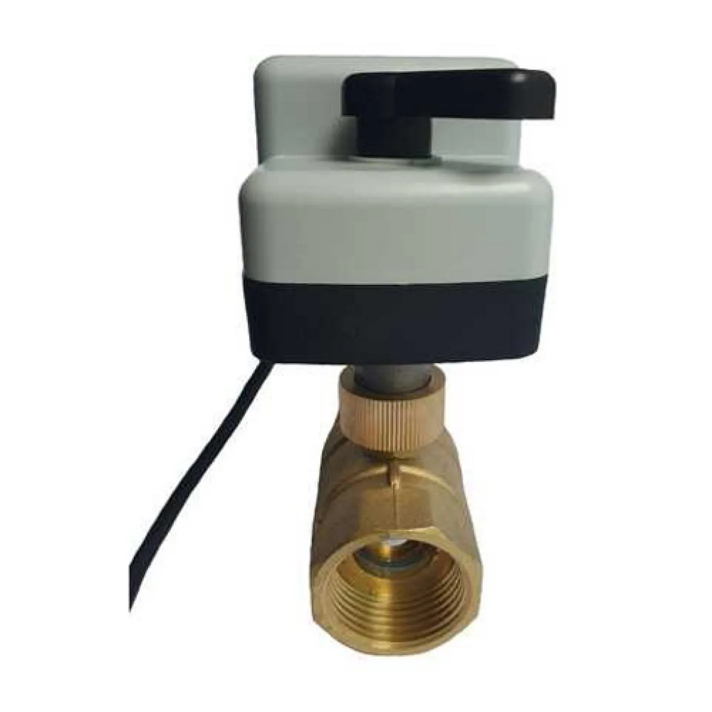 Двухходовой шаровой клапан с электроприводом Tervix Pro Line ZERG НО 11/2 DN40 (205152) - Фото 1