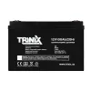 Аккумуляторная батарея свинцово-кислотная Trinix 12V100Ah/20Hr AGM 12В 100Аг- Фото 2