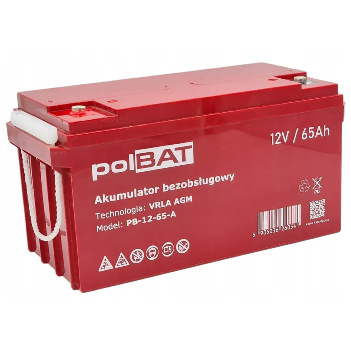 Акумулятор для ДБЖ polBAT AGM 12V 65Ah - Фото 1