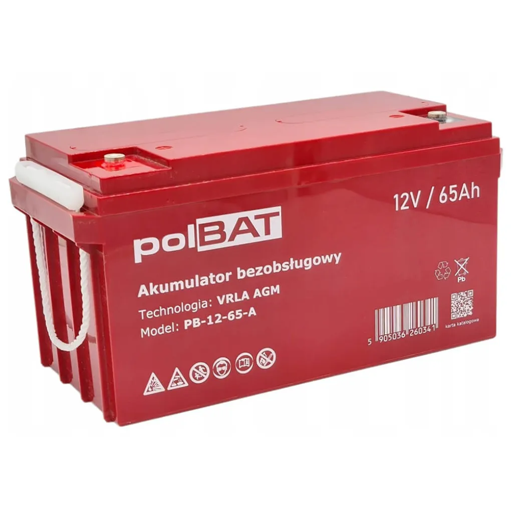 Аккумулятор для ИБП polBAT AGM 12V 65Ah- Фото 2