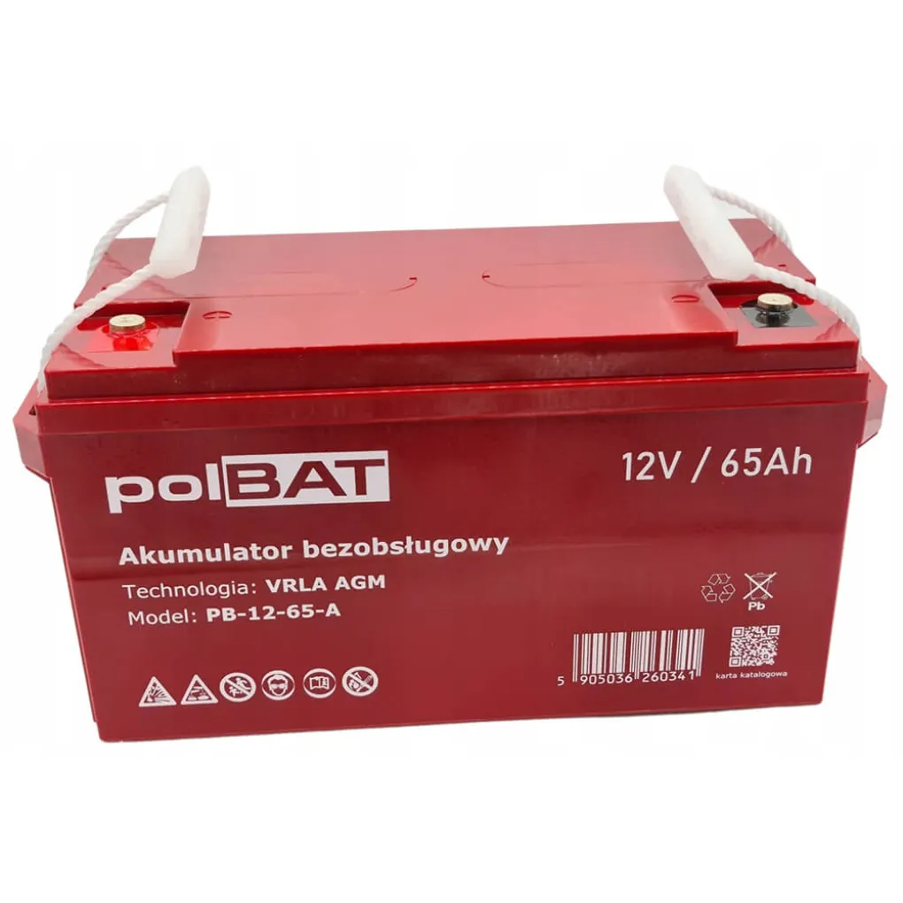 Акумулятор для ДБЖ polBAT AGM 12V 65Ah- Фото 1