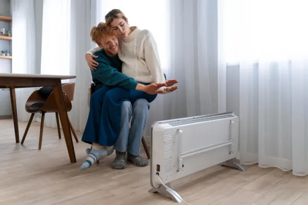 Який електричний обігрівач краще вибрати?