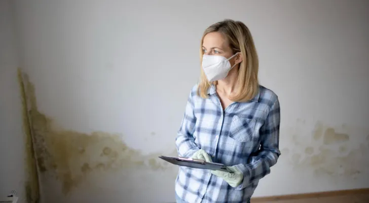 Опасность плесени для здоровья и строительных конструкций